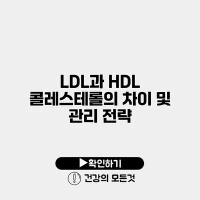 LDL과 HDL 콜레스테롤의 차이 및 관리 전략