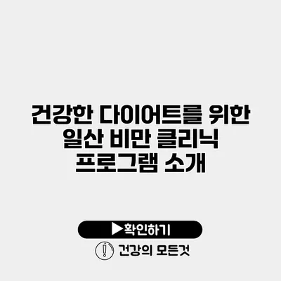 건강한 다이어트를 위한 일산 비만 클리닉 프로그램 소개