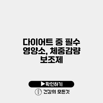 다이어트 중 필수 영양소, 체중감량 보조제