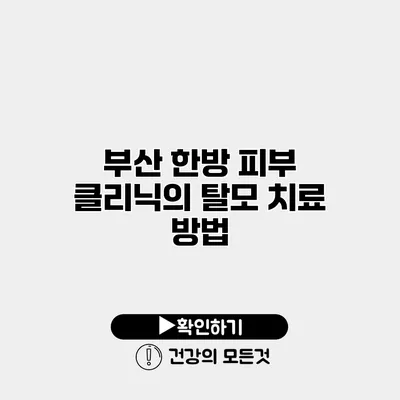 부산 한방 피부 클리닉의 탈모 치료 방법