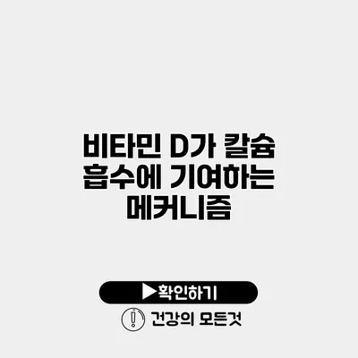 비타민 D가 칼슘 흡수에 기여하는 메커니즘