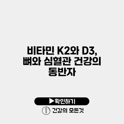 비타민 K2와 D3, 뼈와 심혈관 건강의 동반자