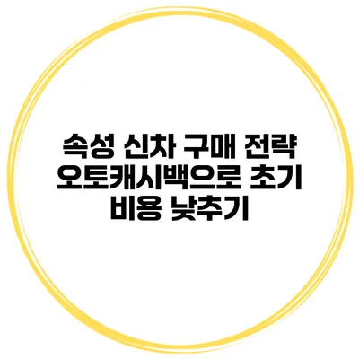 속성 신차 구매 전략 오토캐시백으로 초기 비용 낮추기