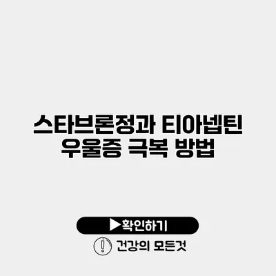 스타브론정과 티아넵틴 우울증 극복 방법