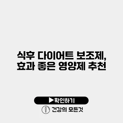 식후 다이어트 보조제, 효과 좋은 영양제 추천