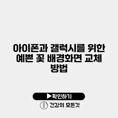 아이폰과 갤럭시를 위한 예쁜 꽃 배경화면 교체 방법