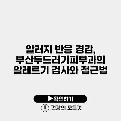 알러지 반응 경감, 부산두드러기피부과의 알레르기 검사와 접근법