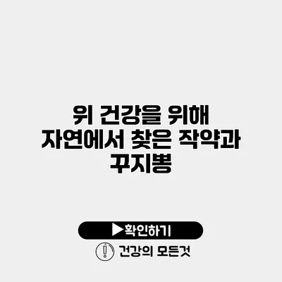 위 건강을 위해 자연에서 찾은 작약과 꾸지뽕