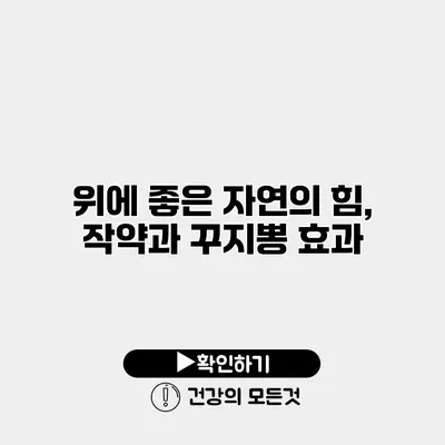 위에 좋은 자연의 힘, 작약과 꾸지뽕 효과