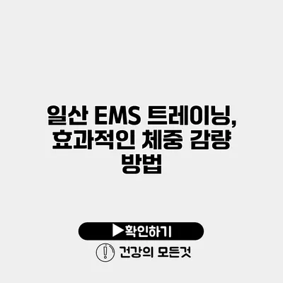 일산 EMS 트레이닝, 효과적인 체중 감량 방법