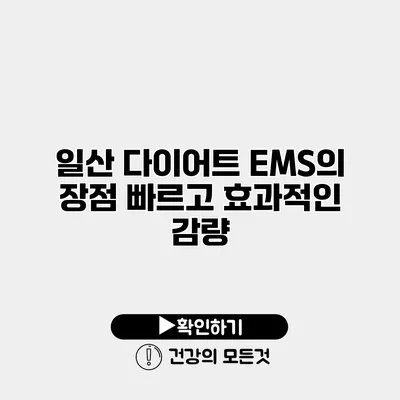 일산 다이어트 EMS의 장점 빠르고 효과적인 감량