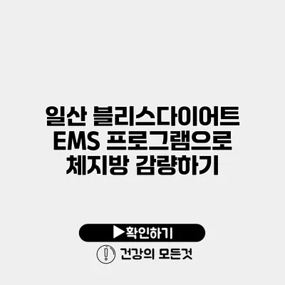 일산 블리스다이어트 EMS 프로그램으로 체지방 감량하기