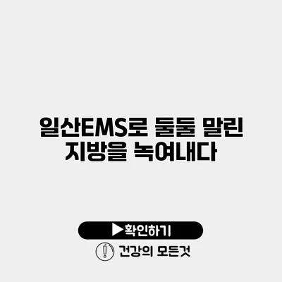 일산EMS로 둘둘 말린 지방을 녹여내다
