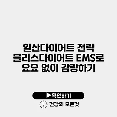 일산다이어트 전략 블리스다이어트 EMS로 요요 없이 감량하기