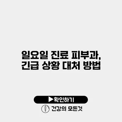 일요일 진료 피부과, 긴급 상황 대처 방법