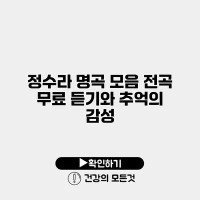 정수라 명곡 모음 전곡 무료 듣기와 추억의 감성