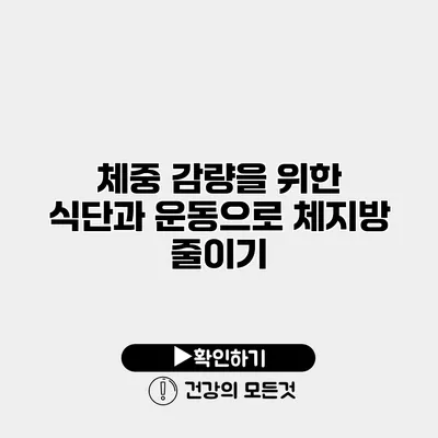 체중 감량을 위한 식단과 운동으로 체지방 줄이기