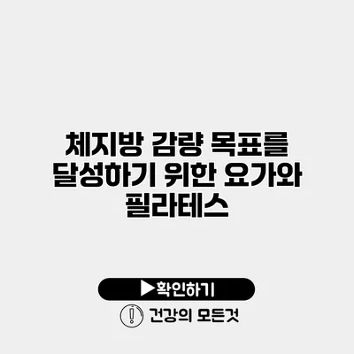 체지방 감량 목표를 달성하기 위한 요가와 필라테스