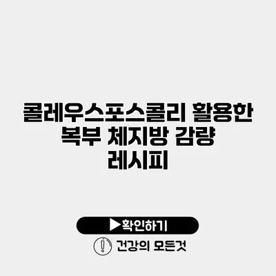 콜레우스포스콜리 활용한 복부 체지방 감량 레시피