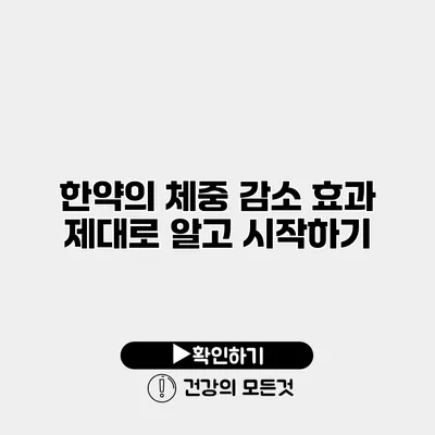 한약의 체중 감소 효과 제대로 알고 시작하기