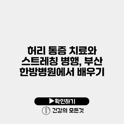 허리 통증 치료와 스트레칭 병행, 부산 한방병원에서 배우기