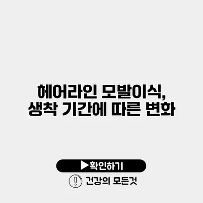 헤어라인 모발이식, 생착 기간에 따른 변화