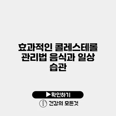 효과적인 콜레스테롤 관리법 음식과 일상 습관