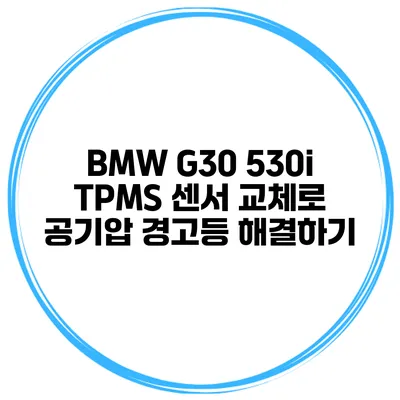 BMW G30 530i TPMS 센서 교체로 공기압 경고등 해결하기