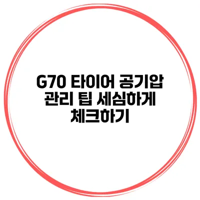 G70 타이어 공기압 관리 팁: 세심하게 체크하기