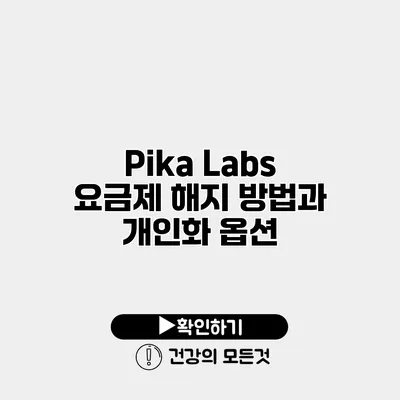 Pika Labs 요금제 해지 방법과 개인화 옵션