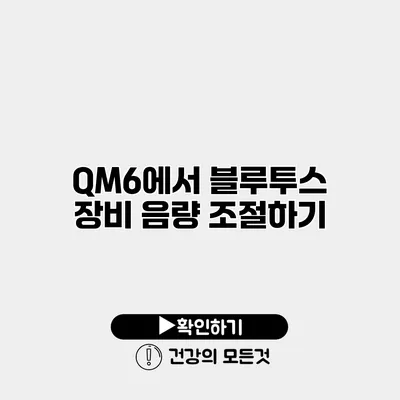 QM6에서 블루투스 장비 음량 조절하기