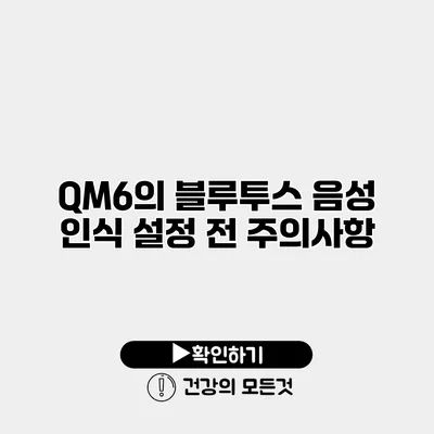 QM6의 블루투스 음성 인식 설정 전 주의사항