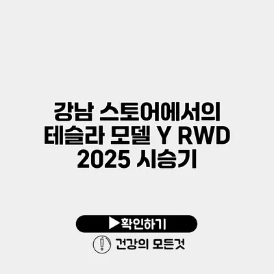 강남 스토어에서의 테슬라 모델 Y RWD 2025 시승기