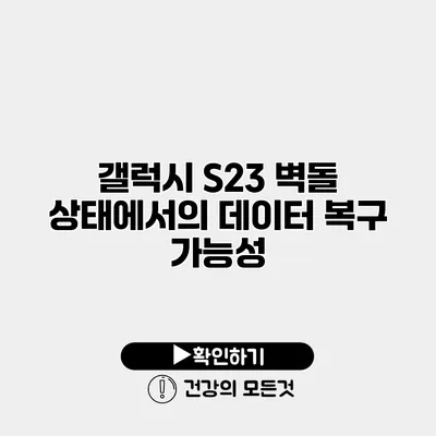갤럭시 S23 벽돌 상태에서의 데이터 복구 가능성