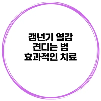 갱년기 열감 견디는 법: 효과적인 치료