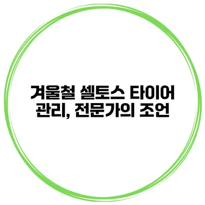 겨울철 셀토스 타이어 관리, 전문가의 조언
