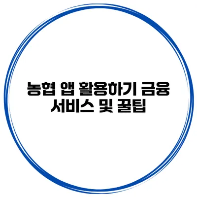 농협 앱 활용하기 금융 서비스 및 꿀팁