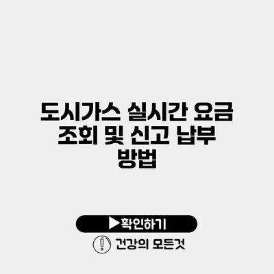 도시가스 실시간 요금 조회 및 신고 납부 방법