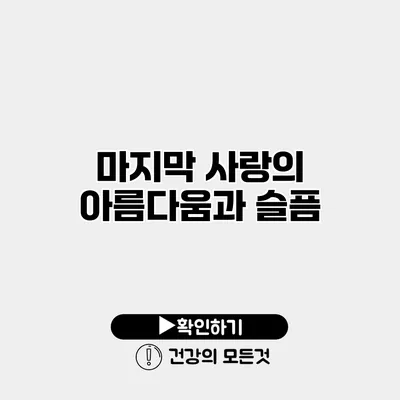 마지막 사랑의 아름다움과 슬픔