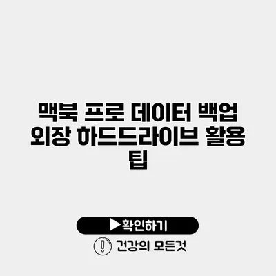 맥북 프로 데이터 백업 외장 하드드라이브 활용 팁