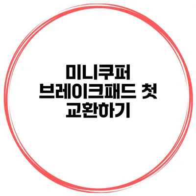 미니쿠퍼 브레이크패드 첫 교환하기
