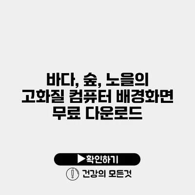 바다, 숲, 노을의 고화질 컴퓨터 배경화면 무료 다운로드