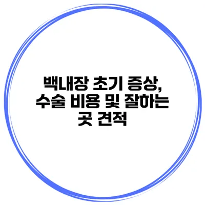 백내장 초기 증상, 수술 비용 및 잘하는 곳 견적