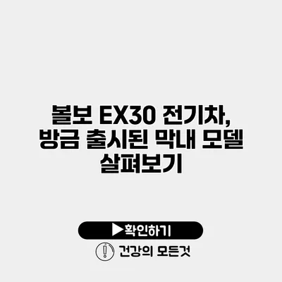 볼보 EX30 전기차, 방금 출시된 막내 모델 살펴보기