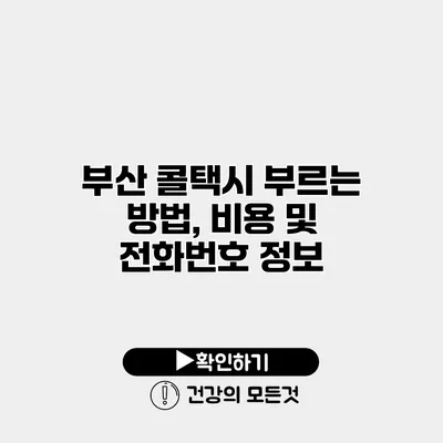 부산 콜택시 부르는 방법, 비용 및 전화번호 정보