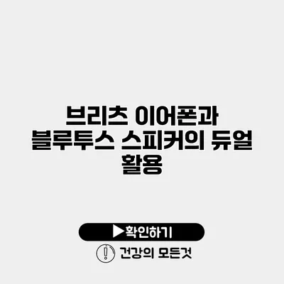 브리츠 이어폰과 블루투스 스피커의 듀얼 활용