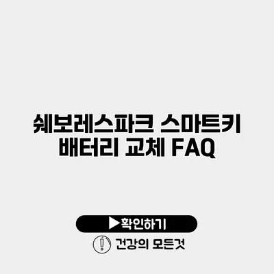 쉐보레스파크 스마트키 배터리 교체 FAQ