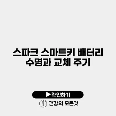스파크 스마트키 배터리 수명과 교체 주기