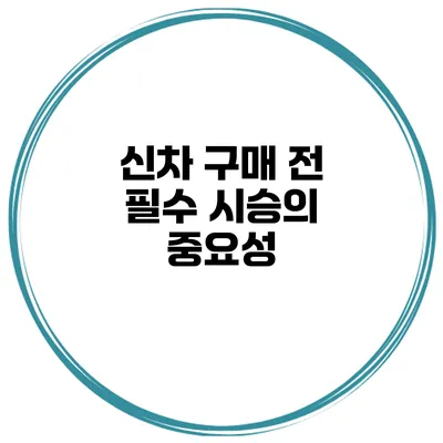 신차 구매 전 필수 시승의 중요성