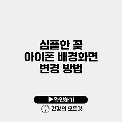 심플한 꽃 아이폰 배경화면 변경 방법